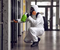 Best Mold Prevention Services  in Hart, TX